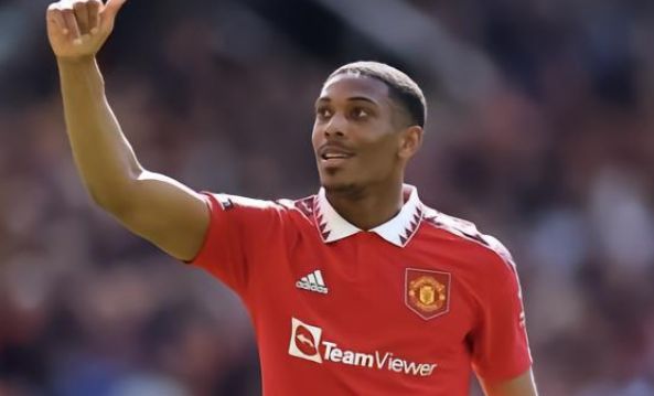 仅展示了陈 仅展示了陈