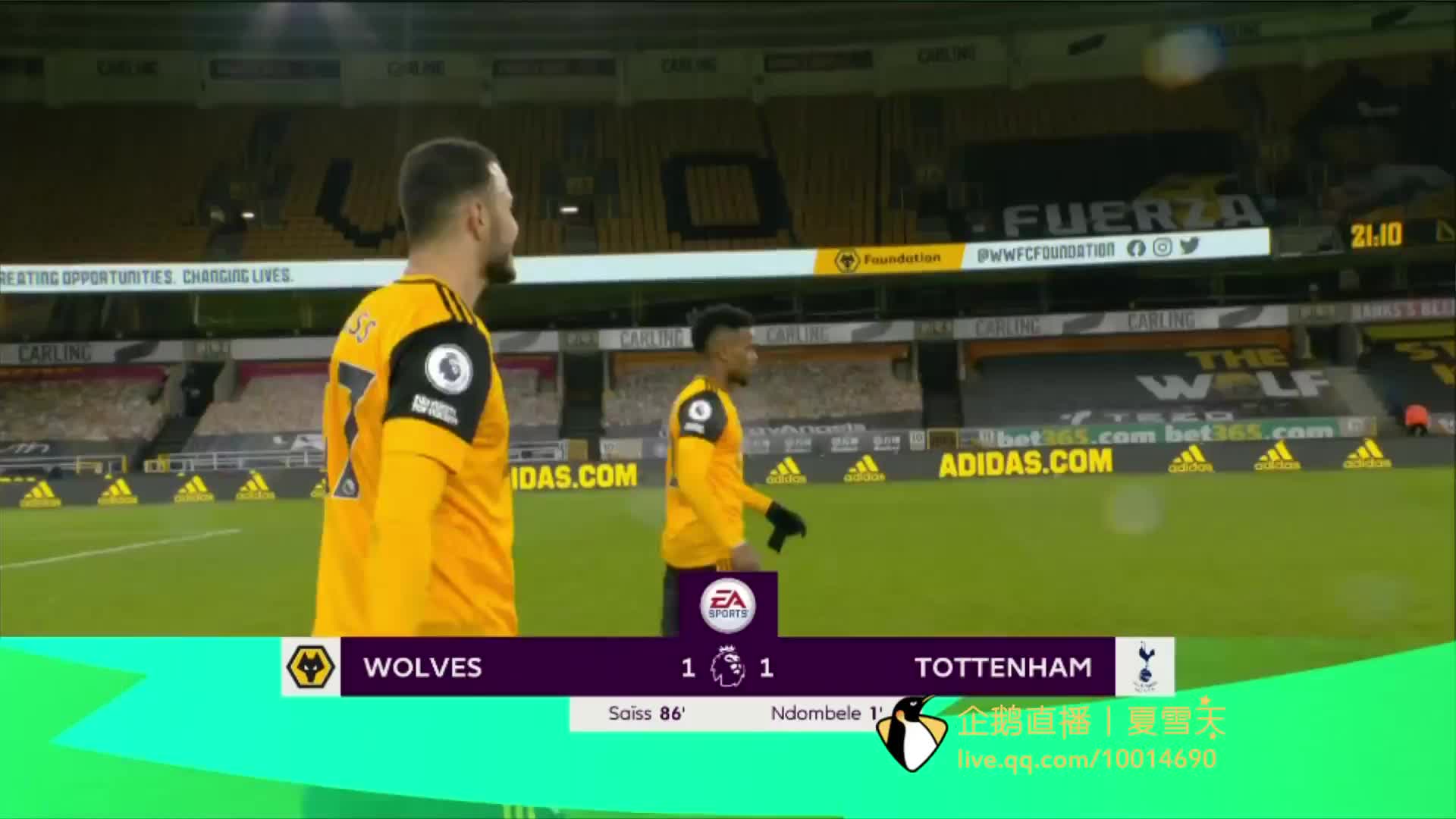 限的期待 限的期待